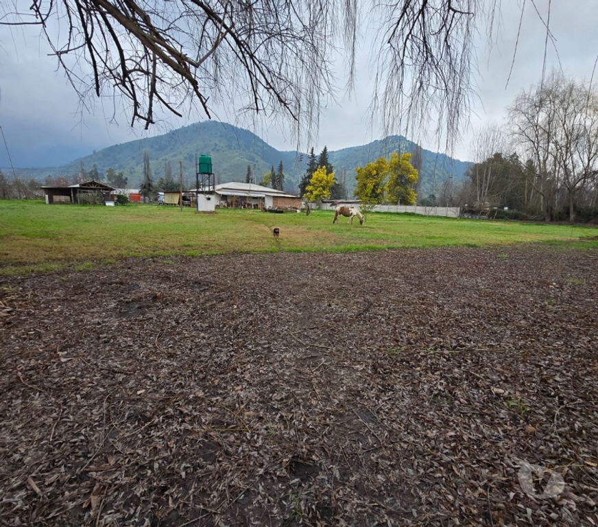 Bienes Raices Cachapoal Doñihue - Fotos de Parcela en Doñihue