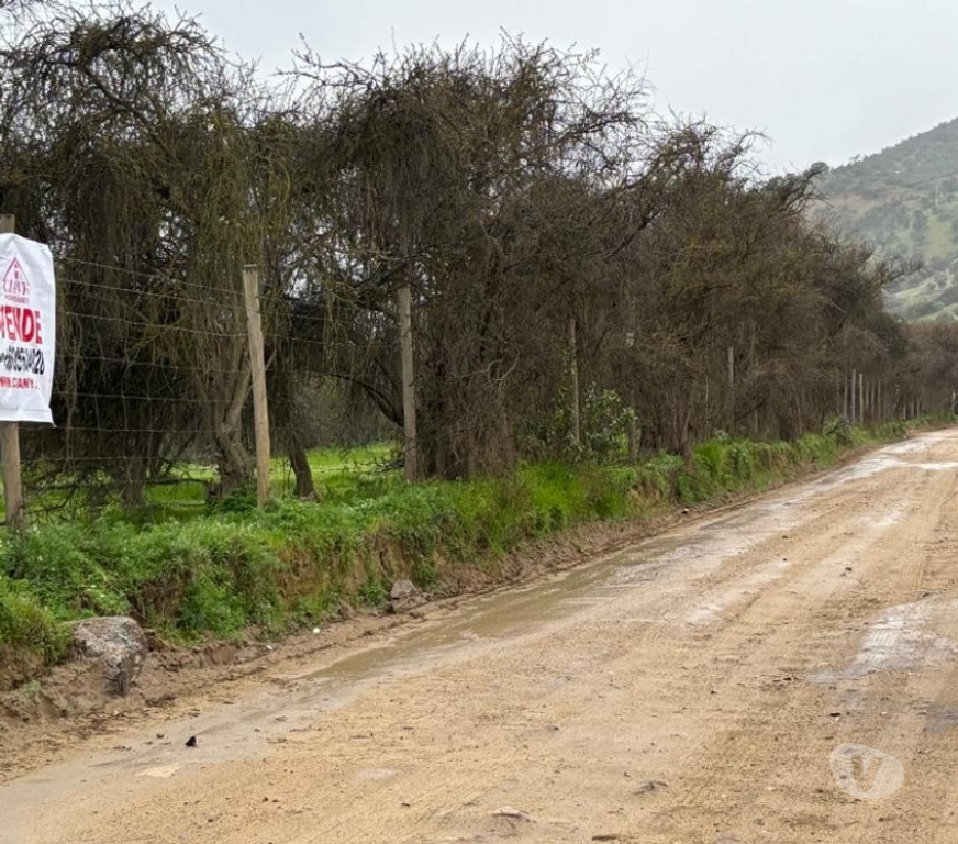 Parcelas en Venta Melipilla Curacav - Fotos de VENDO PARCELA EXCELENTE UBICACION CURACAVI