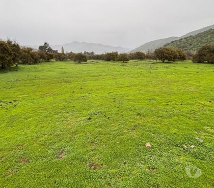 Terrenos Curacav Melipilla - Fotos de VENDO PARCELA EXCELENTE UBICACION CURACAVI