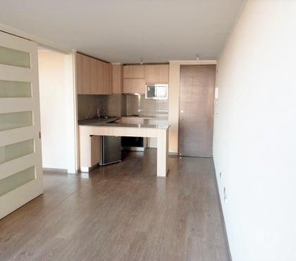 Casas y departamentos en arriendo Estación Central Santiago - Fotos de 240mil Depto 42m2 Mtro Ecuador 1D 1B Terraz Inst. Lavadora