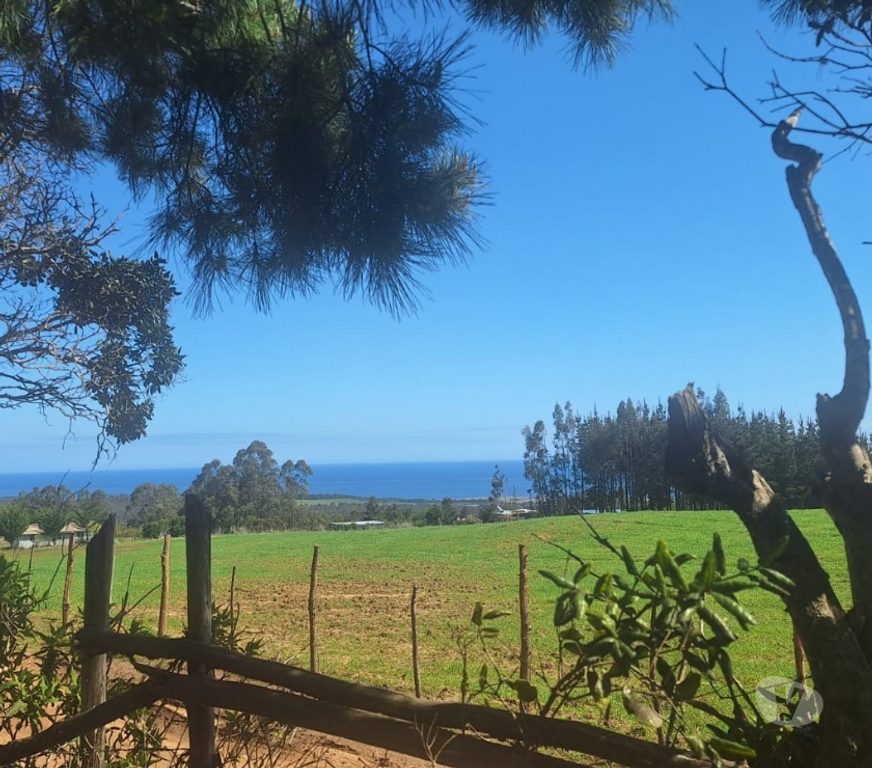 Parcelas en Venta Cardenal Caro Pichilemu - Fotos de Terreno en Pichilemu
