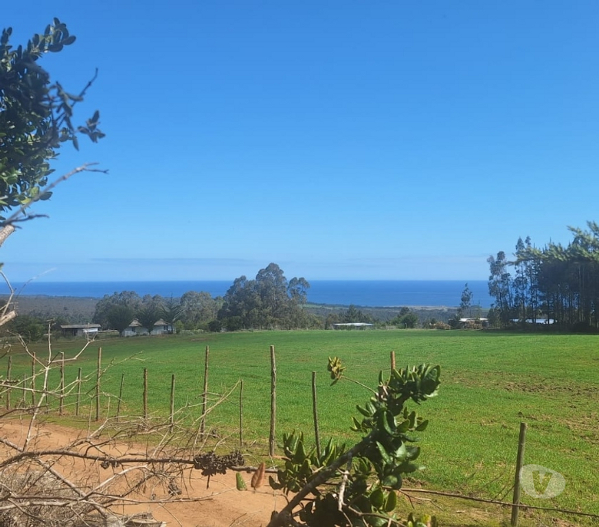 Parcelas en Venta Cardenal Caro Pichilemu - Fotos de Terreno en Pichilemu
