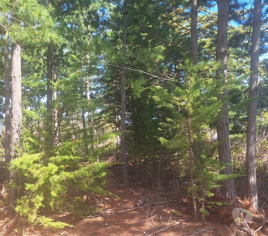 Parcelas en Venta Cardenal Caro Pichilemu - Fotos de Terreno en Pichilemu