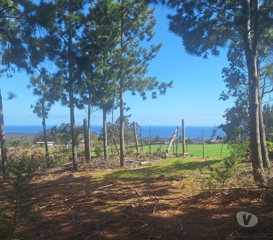 Parcelas en Venta Cardenal Caro Pichilemu - Fotos de Terreno en Pichilemu