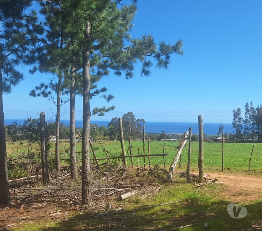 Parcelas en Venta Cardenal Caro Pichilemu - Fotos de Terreno en Pichilemu