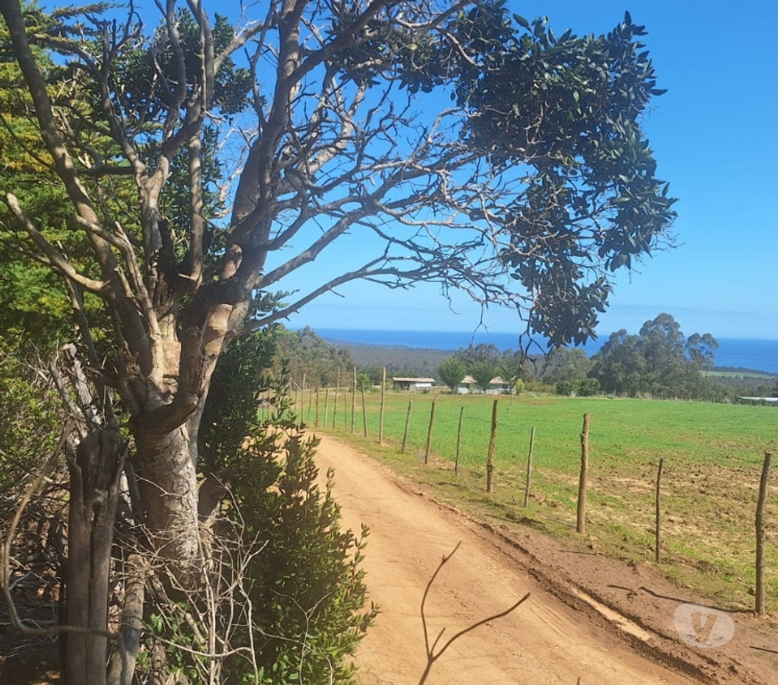 Parcelas en Venta Cardenal Caro Pichilemu - Fotos de Terreno en Pichilemu