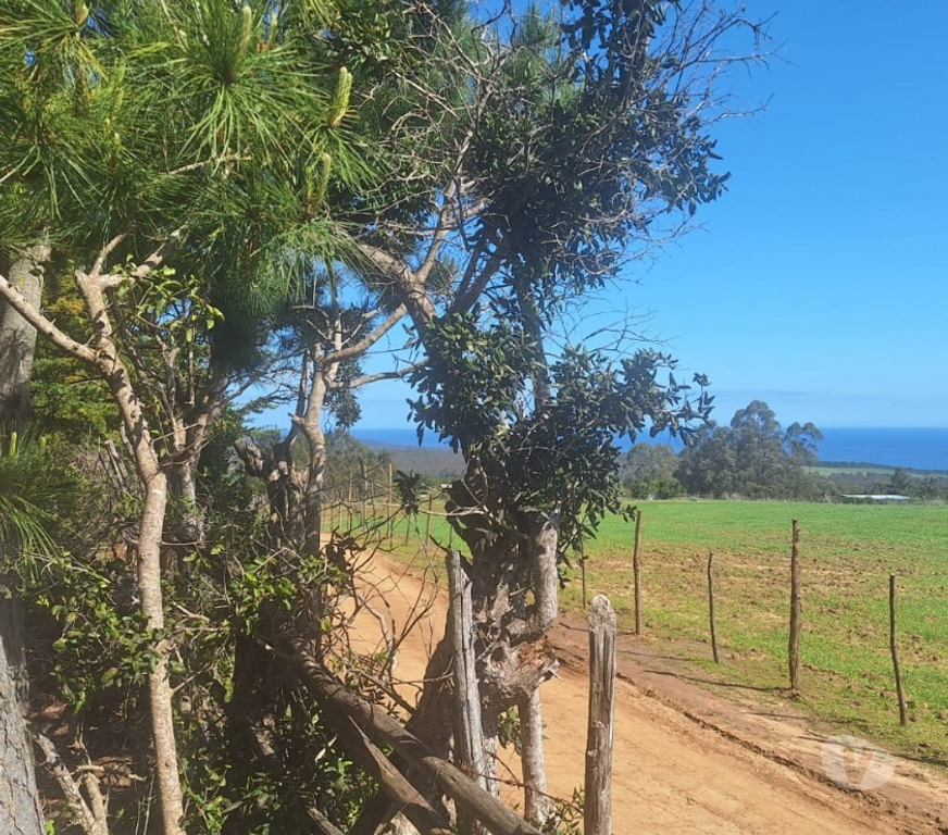 Parcelas en Venta Cardenal Caro Pichilemu - Fotos de Terreno en Pichilemu