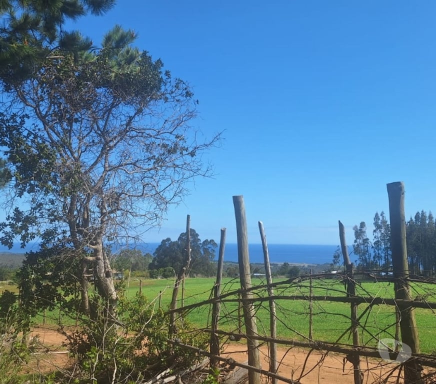 Parcelas en Venta Cardenal Caro Pichilemu - Fotos de Terreno en Pichilemu