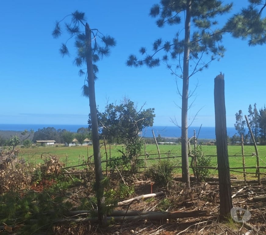 Parcelas en Venta Cardenal Caro Pichilemu - Fotos de Terreno en Pichilemu