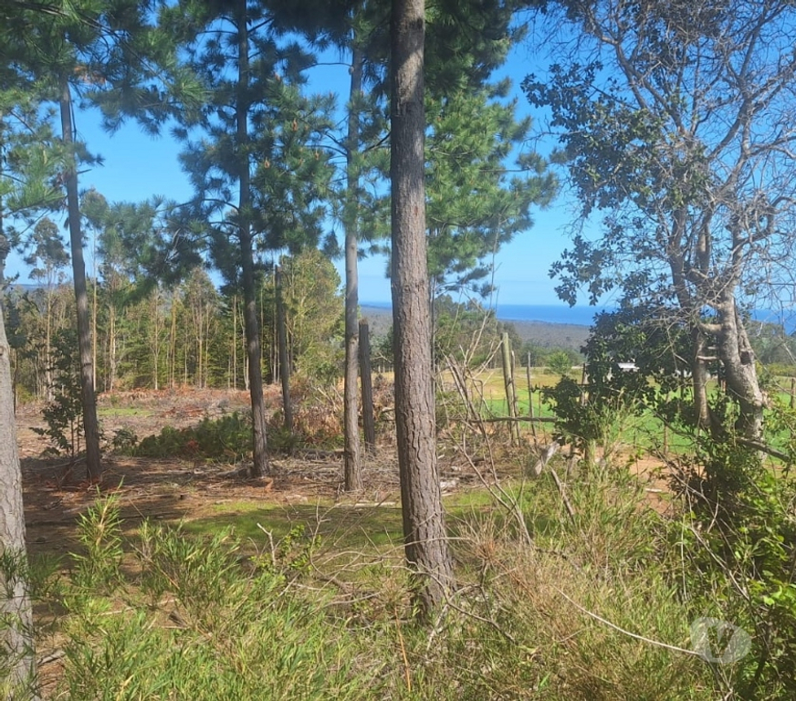Parcelas en Venta Cardenal Caro Pichilemu - Fotos de Terreno en Pichilemu