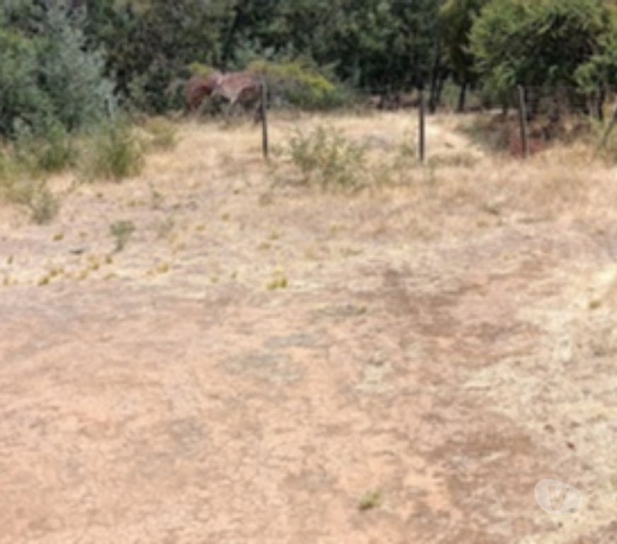 Parcelas en Venta Ñuble Chillán Viejo - Fotos de VENDO TERRENO EN CHILLAN