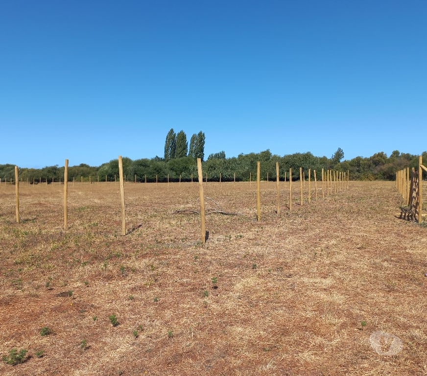 Parcelas en Venta Bío-Bío Los Ángeles - Fotos de vendo parcela de 5000m2 en Los ÁNGELES