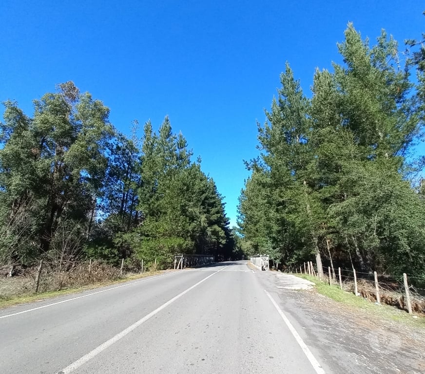 Parcelas en Venta Bío-Bío Los Ángeles - Fotos de vendo parcela de 5000m2 en Los ÁNGELES