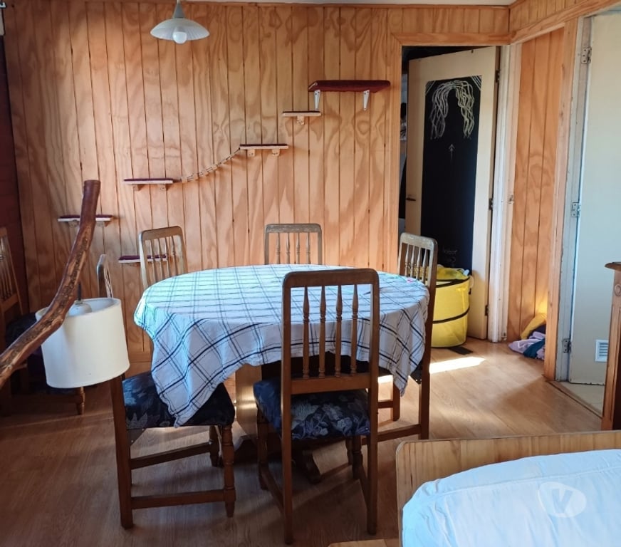 Arriendo de piezas Valdivia Valdivia - Fotos de Busco roomie en San Luis con Pilar Meza $210.000