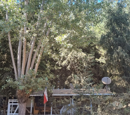 Inmobiliaria San Fabián Ñuble - Fotos de PARCELA DE 5.000 MTS 2 CON CASA inteligente de 92 MT2