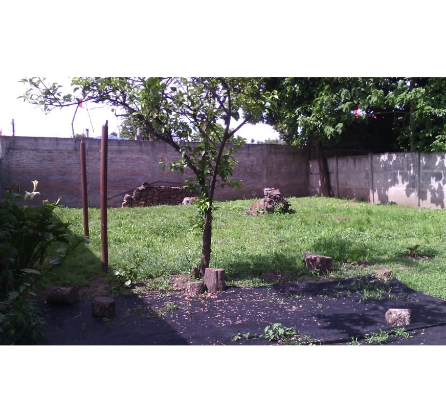 Arriendos Malleco Angol - Fotos de ARRIENDO CASA EN ANGOL