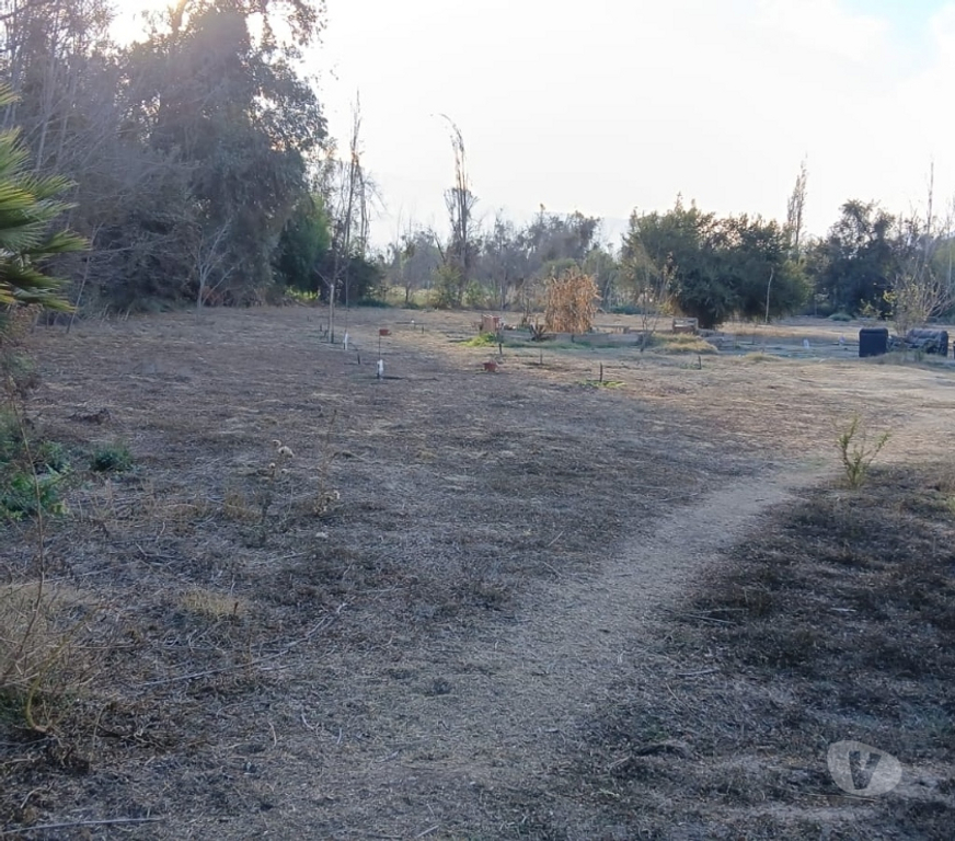 Parcelas en Venta San Felipe de Aconcagua Putaendo - Fotos de PARCELA 5000 M2 CASA 3D 2B FRUTALES VENTA DIRECTA PUTAENDO