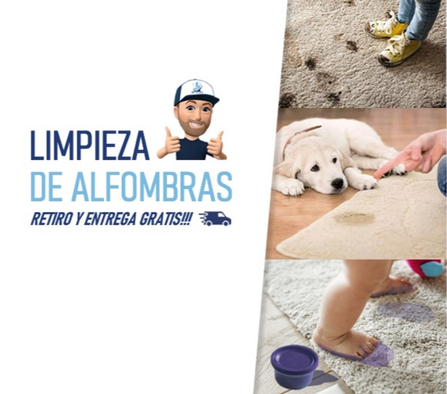 Reparaciones-Decoraciones Santiago Las Condes - Fotos de LIMPIEZA DE ALFOMBRAS DECORATIVAS