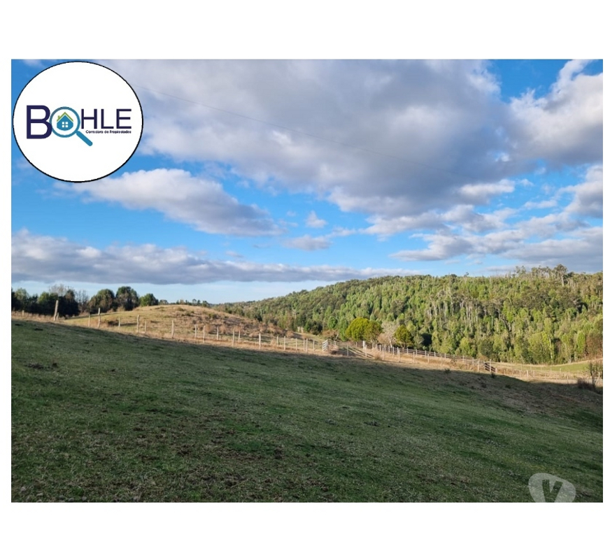 Parcelas en Venta Llanquihue Los Muermos - Fotos de TERRENO EN LOS MUERMOS, CORDILLERA DEL SARAO