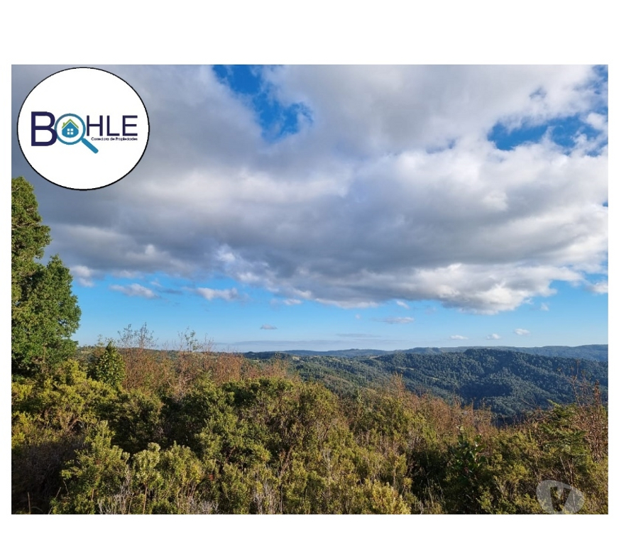 Parcelas en Venta Llanquihue Los Muermos - Fotos de TERRENO EN LOS MUERMOS, CORDILLERA DEL SARAO