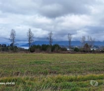 Vendemos terrenos cercanos a Panguipulli