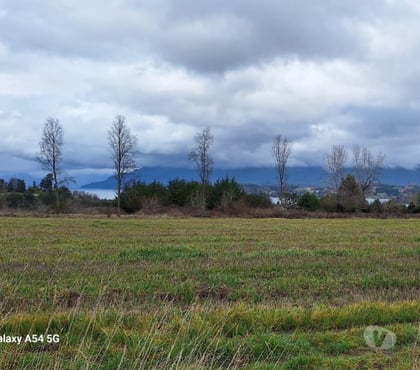 Parcelas Panguipulli Valdivia - Fotos de Vendemos terrenos cercanos a Panguipulli