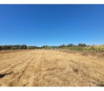 Fotos de EN VENTA PARCELA EN SECTOR JUNQUILLO, COMUNA SAN CARLOS