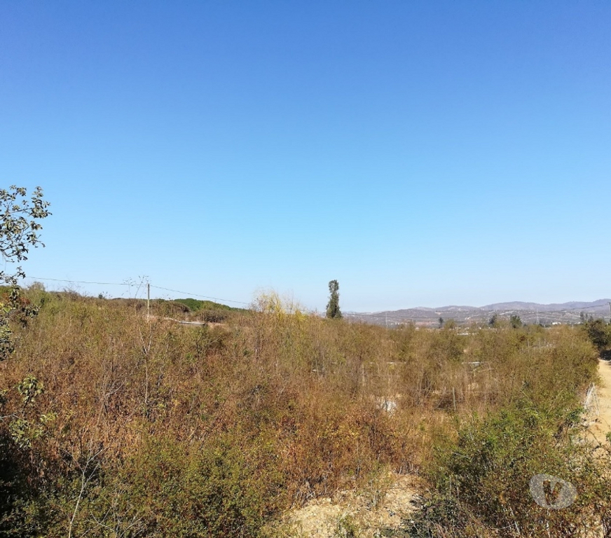 Parcelas en Venta Quillota Limache - Fotos de PARCELA CAMINO LOS LAURELES, LIMACHE