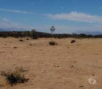 Parcelas en Venta Quillota Limache - Fotos de PARCELA PLANA SECTOR LOS BORRISQUEROS LIMACHE.