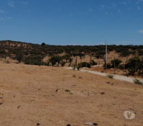 Parcelas en Venta Quillota Limache - Fotos de PARCELA PLANA SECTOR LOS BORRISQUEROS LIMACHE.