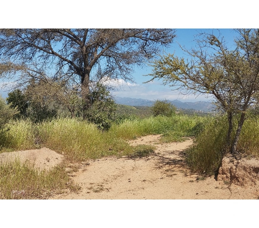 Parcelas en Venta Quillota Limache - Fotos de PARCELA EN CAJON DEL LEBU LIMACHE