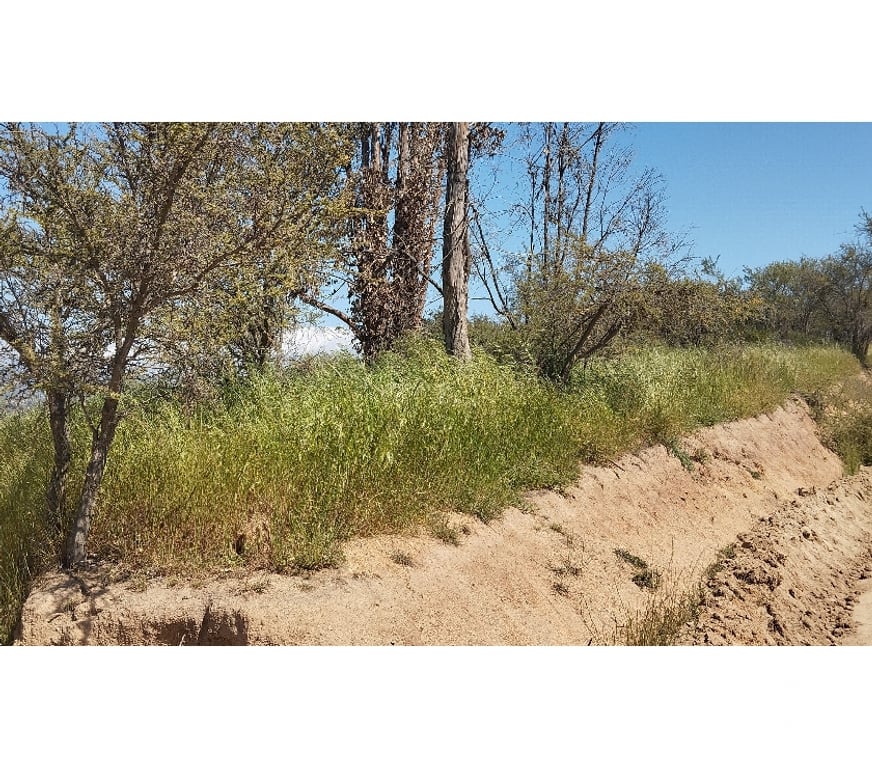Parcelas en Venta Quillota Limache - Fotos de PARCELA EN CAJON DEL LEBU LIMACHE