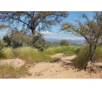 Parcelas en Venta Quillota Limache - Fotos de PARCELA EN CAJON DEL LEBU LIMACHE