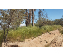 Parcelas en Venta Quillota Limache - Fotos de PARCELA EN CAJON DEL LEBU LIMACHE