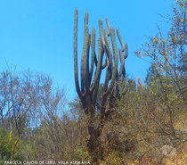 Parcelas en Venta Quillota Limache - Fotos de PARCELA FUNDO EL LEBU PEÑABLANCA