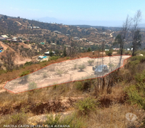 Parcelas en Venta Quillota Limache - Fotos de PARCELA FUNDO EL LEBU PEÑABLANCA