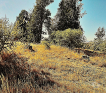 Parcelas en Venta Quillota Limache - Fotos de PARCELA EN VENTA CAJON DEL LEBU