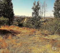 Parcelas en Venta Quillota Limache - Fotos de PARCELA EN VENTA CAJON DEL LEBU