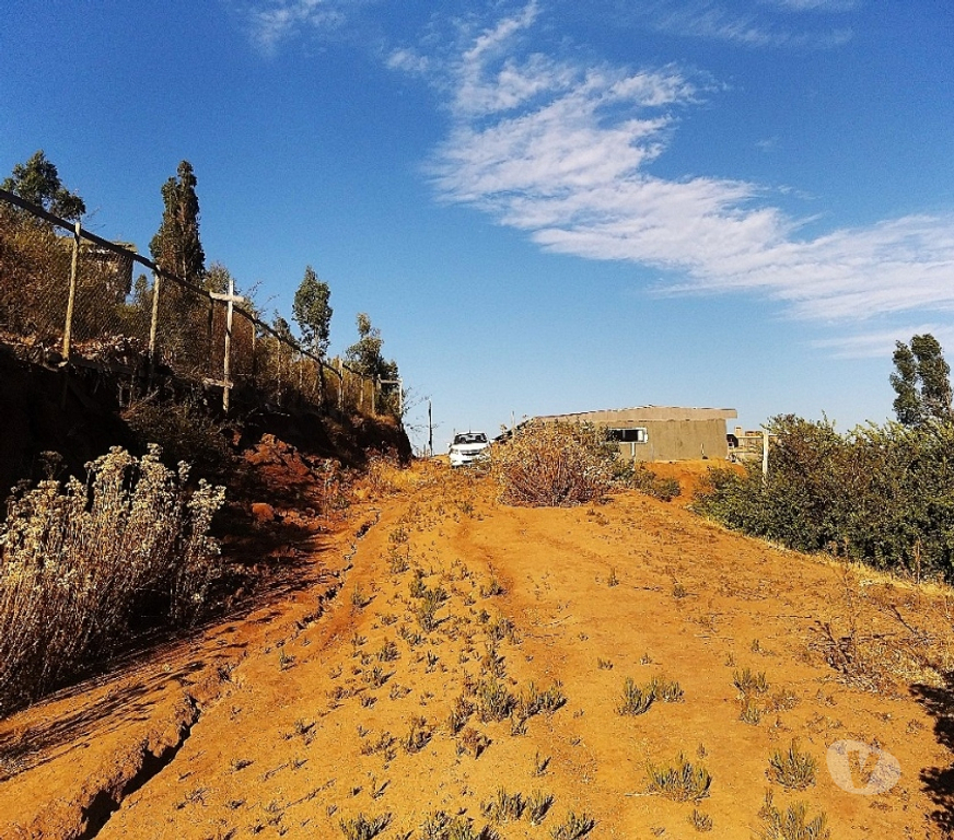 Parcelas en Venta Quillota Limache - Fotos de PARCELA 5000 MT2 FUNDO EL LEBU