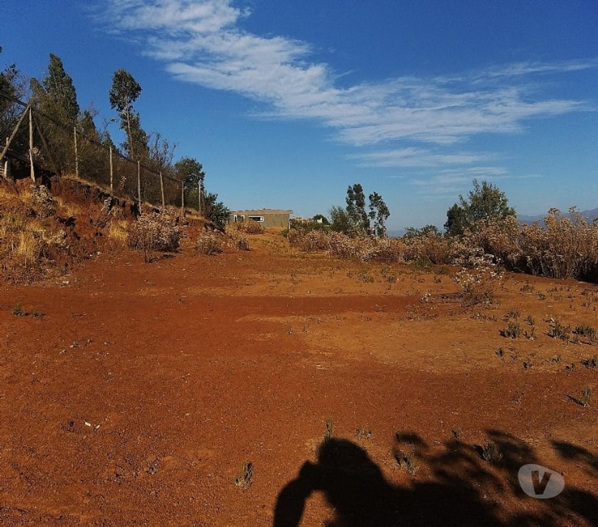 Parcelas en Venta Quillota Limache - Fotos de PARCELA 5000 MT2 FUNDO EL LEBU