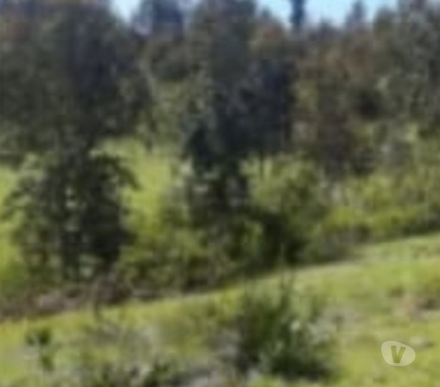 Venta de Haciendas Talca Pencahue - Fotos de Se vende parcela