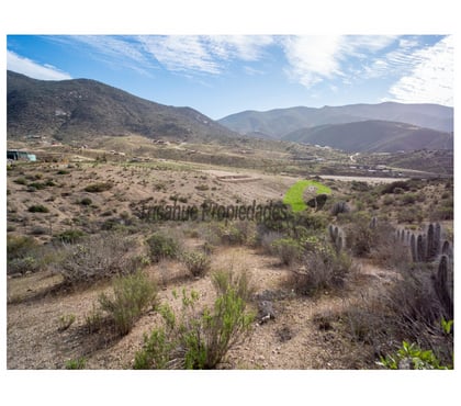 Terrenos en Venta La Serena Elqui - Fotos de Parcela 5000 m2, hermosa vista. La Estrella, La Serena