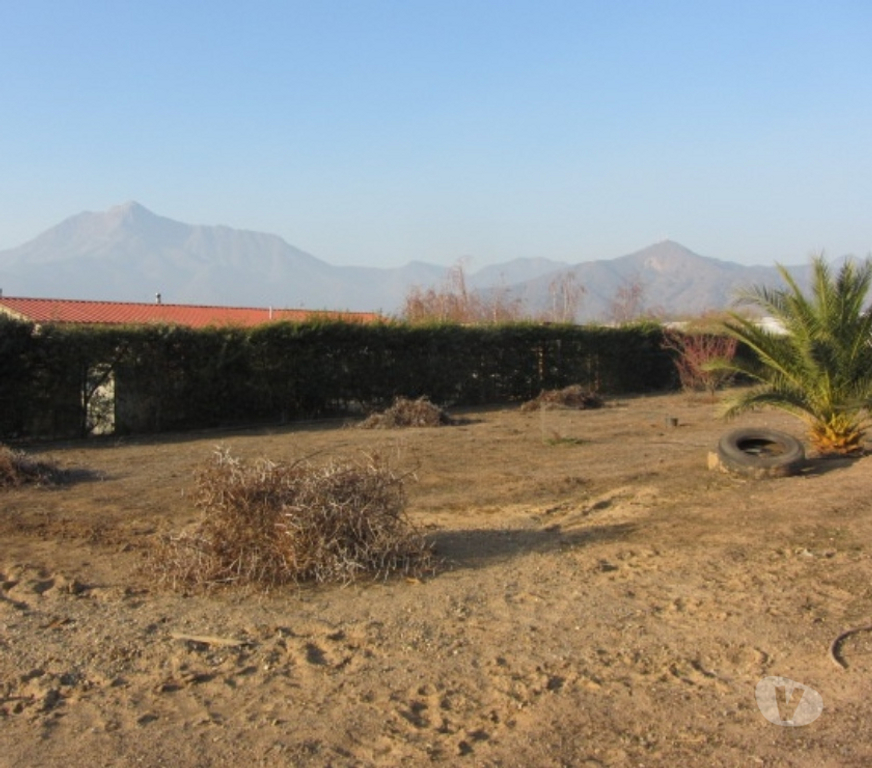 Parcelas en Venta Quillota Olmué - Fotos de PARCELA PLANA SECTOR LAS CRUCES OLMUE