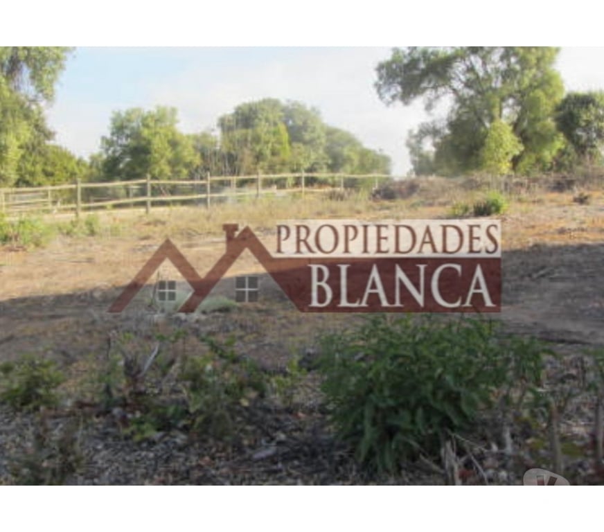 Parcelas en Venta Valparaíso Quintero - Fotos de PARCELA SECTOR EXCLUSIVO VALLE ALEGRE