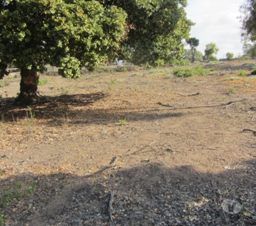 Parcelas en Venta Valparaíso Quintero - Fotos de PARCELA SECTOR EXCLUSIVO VALLE ALEGRE