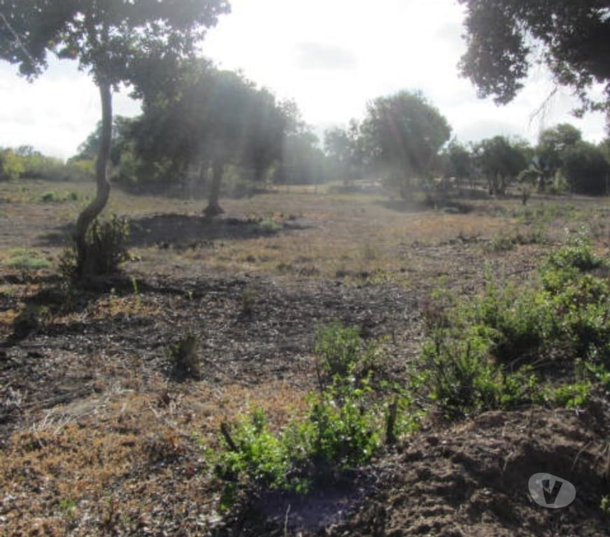 Parcelas en Venta Valparaíso Quintero - Fotos de PARCELA SECTOR EXCLUSIVO VALLE ALEGRE