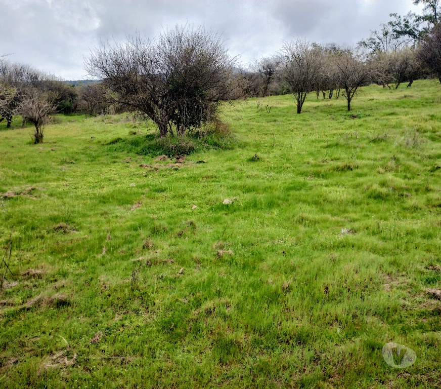 Parcelas en Venta Maipo Paine - Fotos de Vende Terreno 5 mil m2, sector laguna de acueleo
