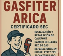 Gasfiter Arica Oficial