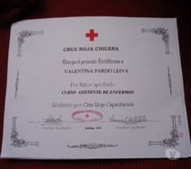 Se ofrece Aisistente de enfermos Cruz Roja