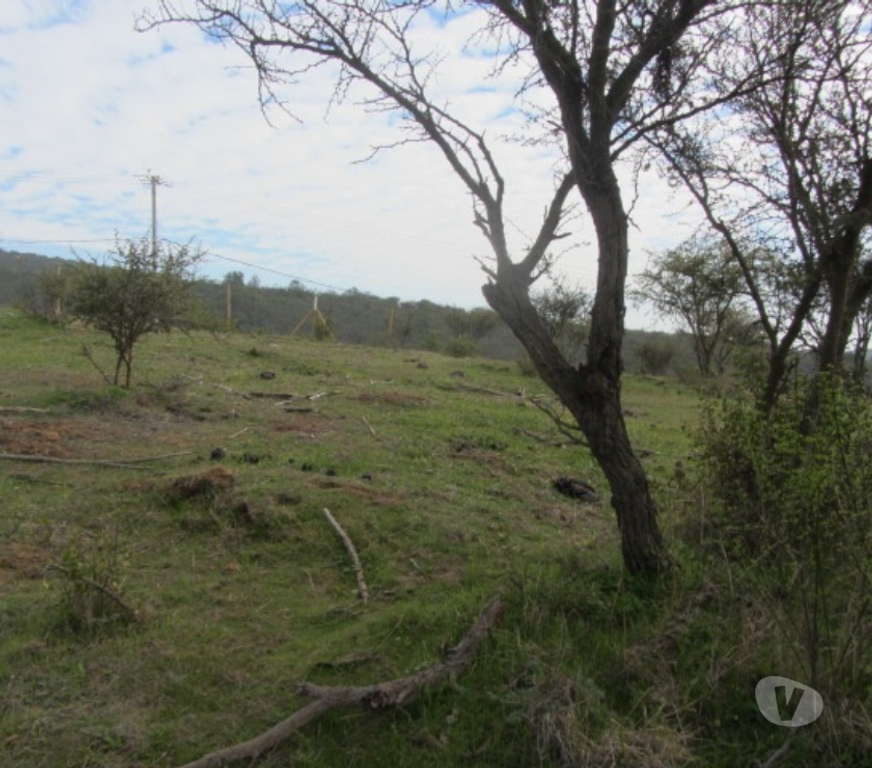 Parcelas en Venta Valparaíso Villa Alemana - Fotos de PARCELA EXCELENTE VISTA PEÑABLANCA CAJON DEL LEBU